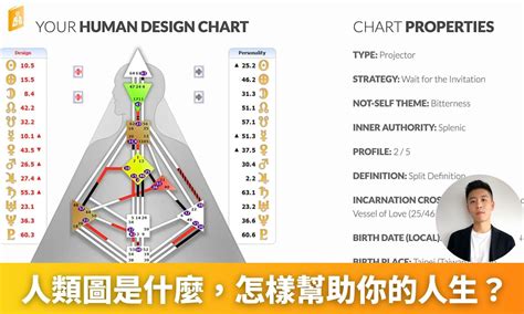 人類圖數字|人類圖是什麼？萬人分析師親自解釋你為什麼你需要。